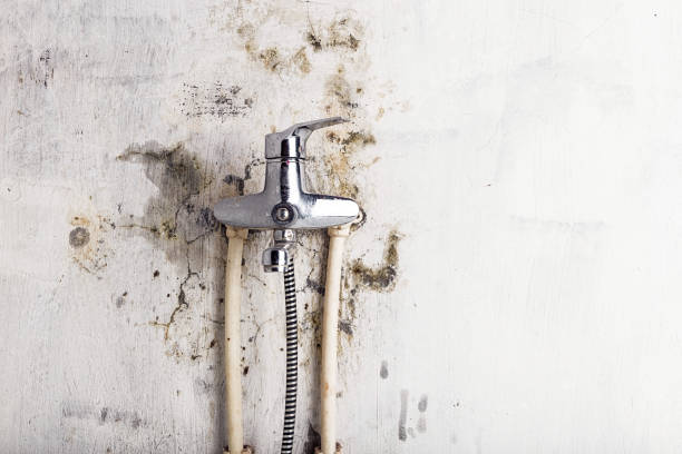 Home Mold Removal in Plainview, NE