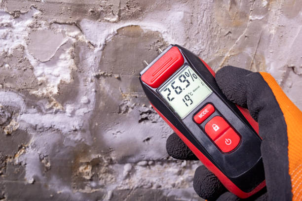 Mold Removal and Inspection in Plainview, NE